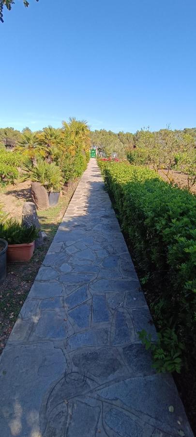 Orosei Re - Villa Aurora Rimedia A 50 Metri Dal Mare Kültér fotó